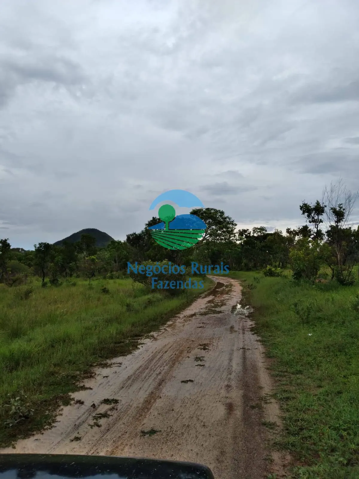 Farm for sale of 11,960 acres in Taipas do Tocantins, TO, Brazil