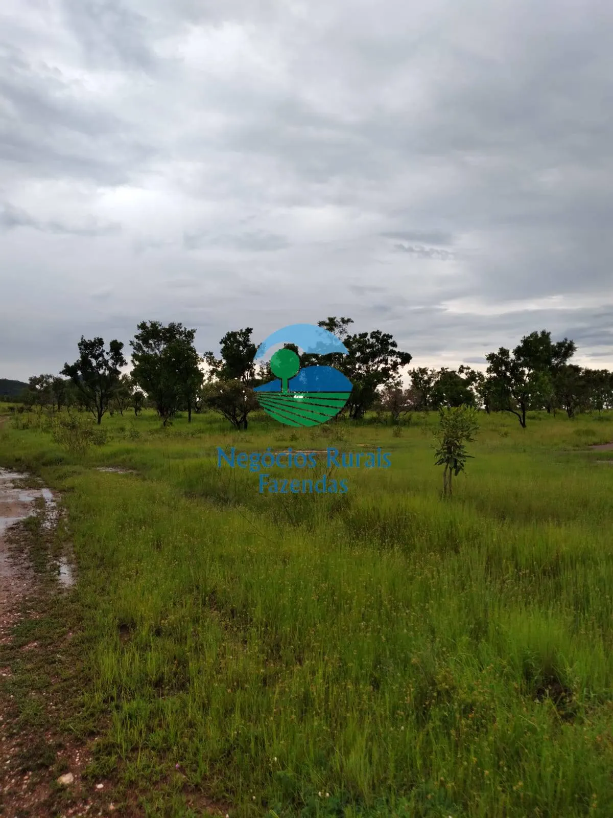 Farm for sale of 11,960 acres in Taipas do Tocantins, TO, Brazil
