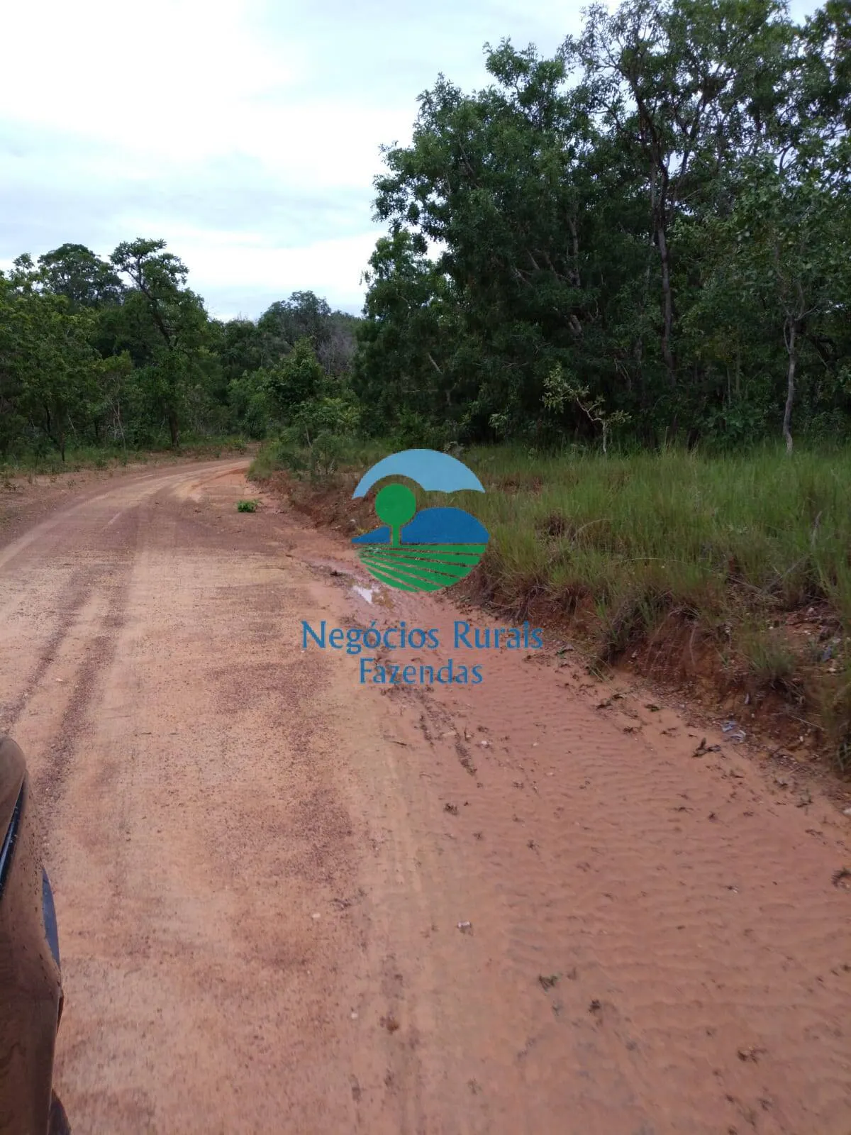 Fazenda à venda de 4.840 ha em Taipas do Tocantins, TO, Brasil