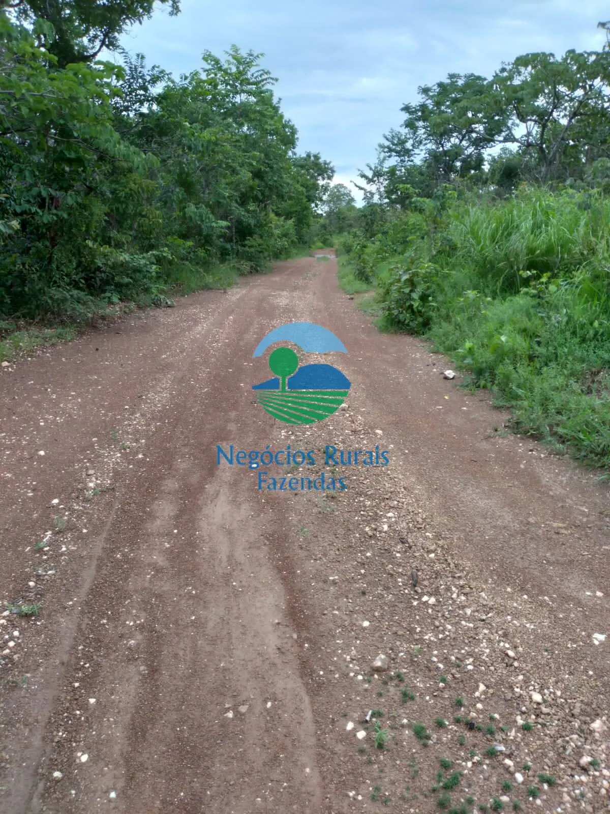 Farm for sale of 11,960 acres in Taipas do Tocantins, TO, Brazil