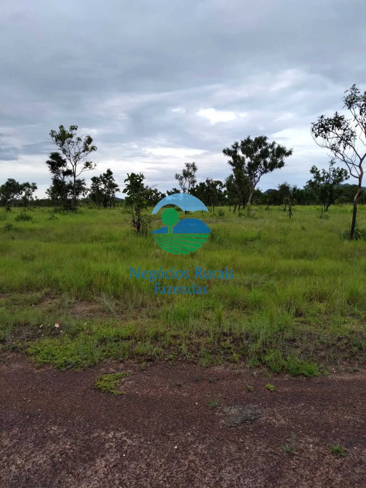 Farm for sale of 11,960 acres in Taipas do Tocantins, TO, Brazil
