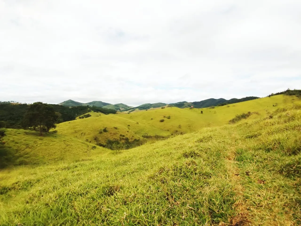 Fazenda à venda de 486 ha em Taubaté, SP, Brasil