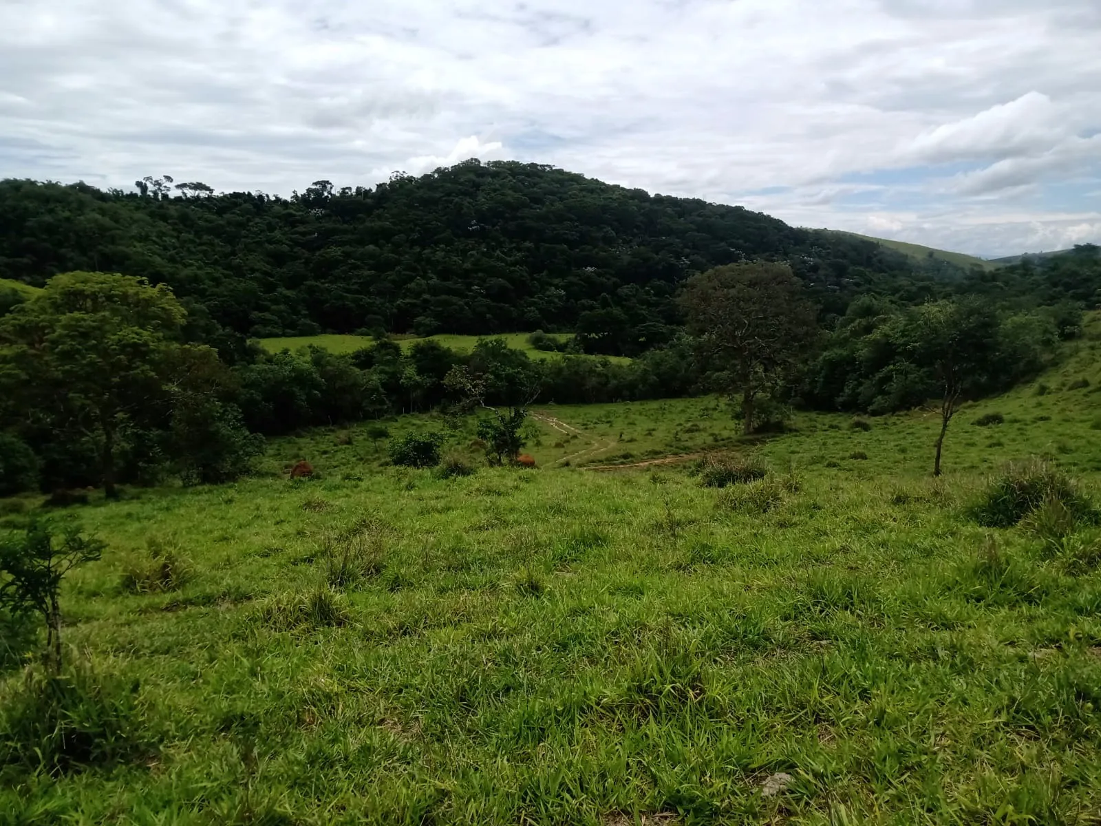 Farm for sale of 1,202 acres in Taubaté, SP, Brazil