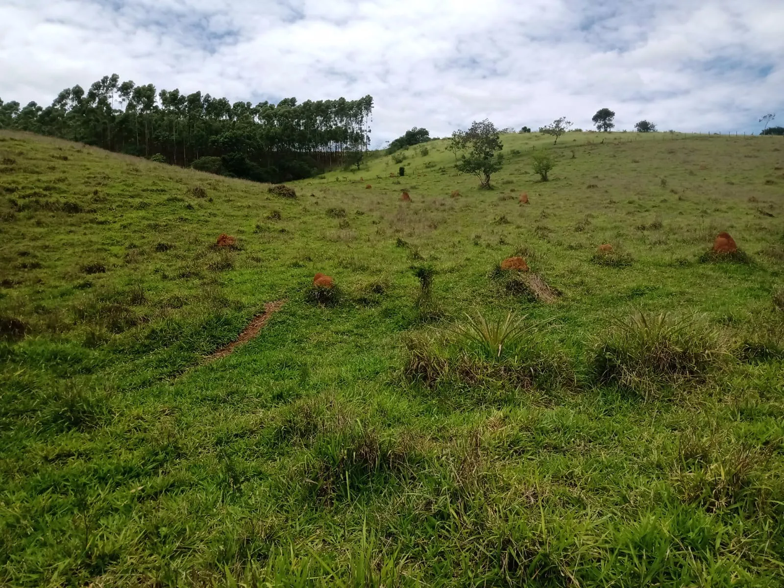 Farm for sale of 1,202 acres in Taubaté, SP, Brazil