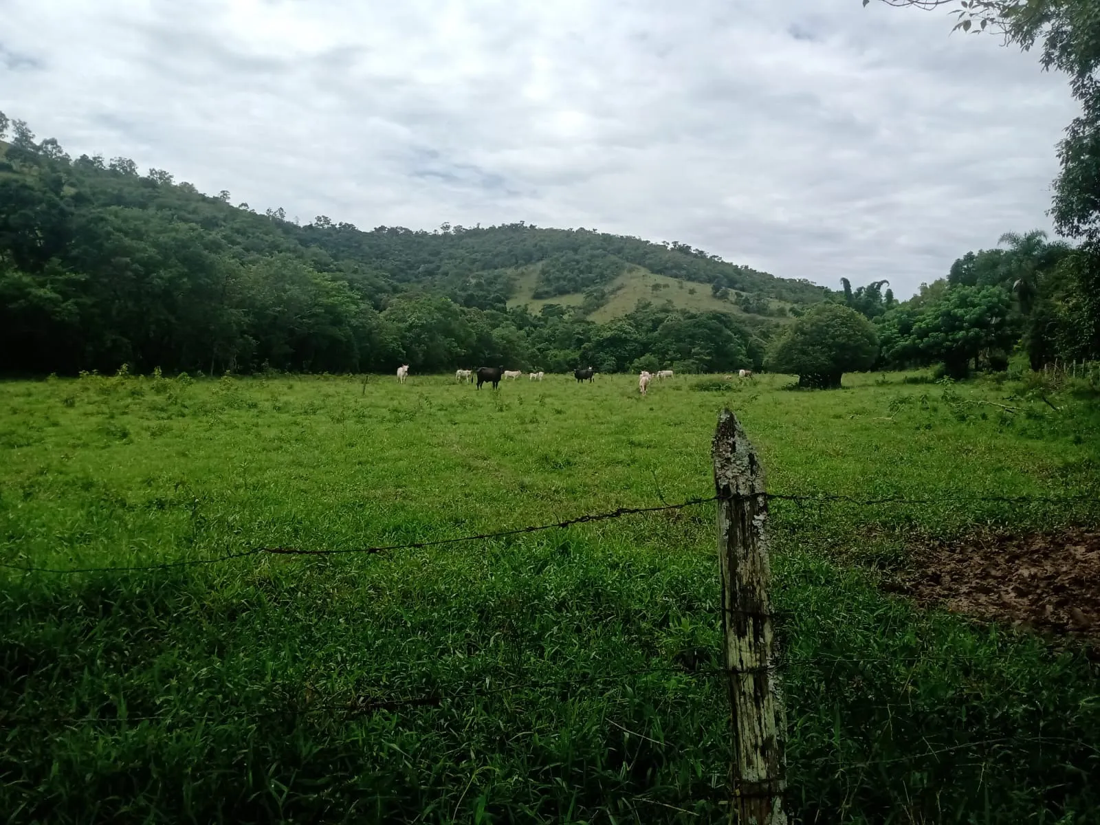 Farm for sale of 1,202 acres in Taubaté, SP, Brazil