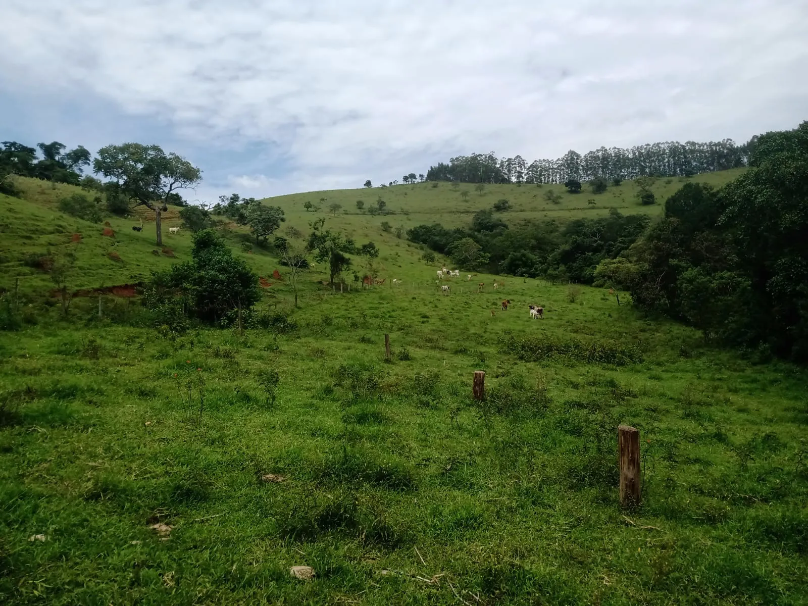 Farm for sale of 1,202 acres in Taubaté, SP, Brazil