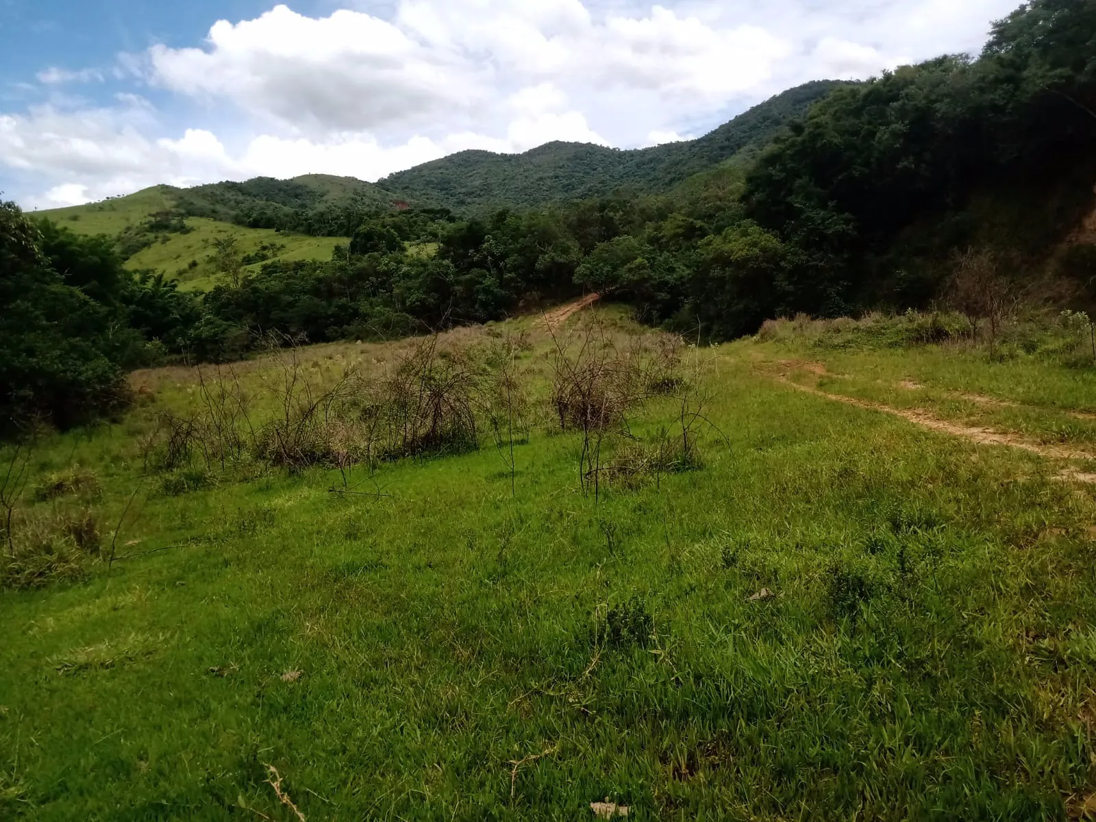 Farm for sale of 1,202 acres in Taubaté, SP, Brazil