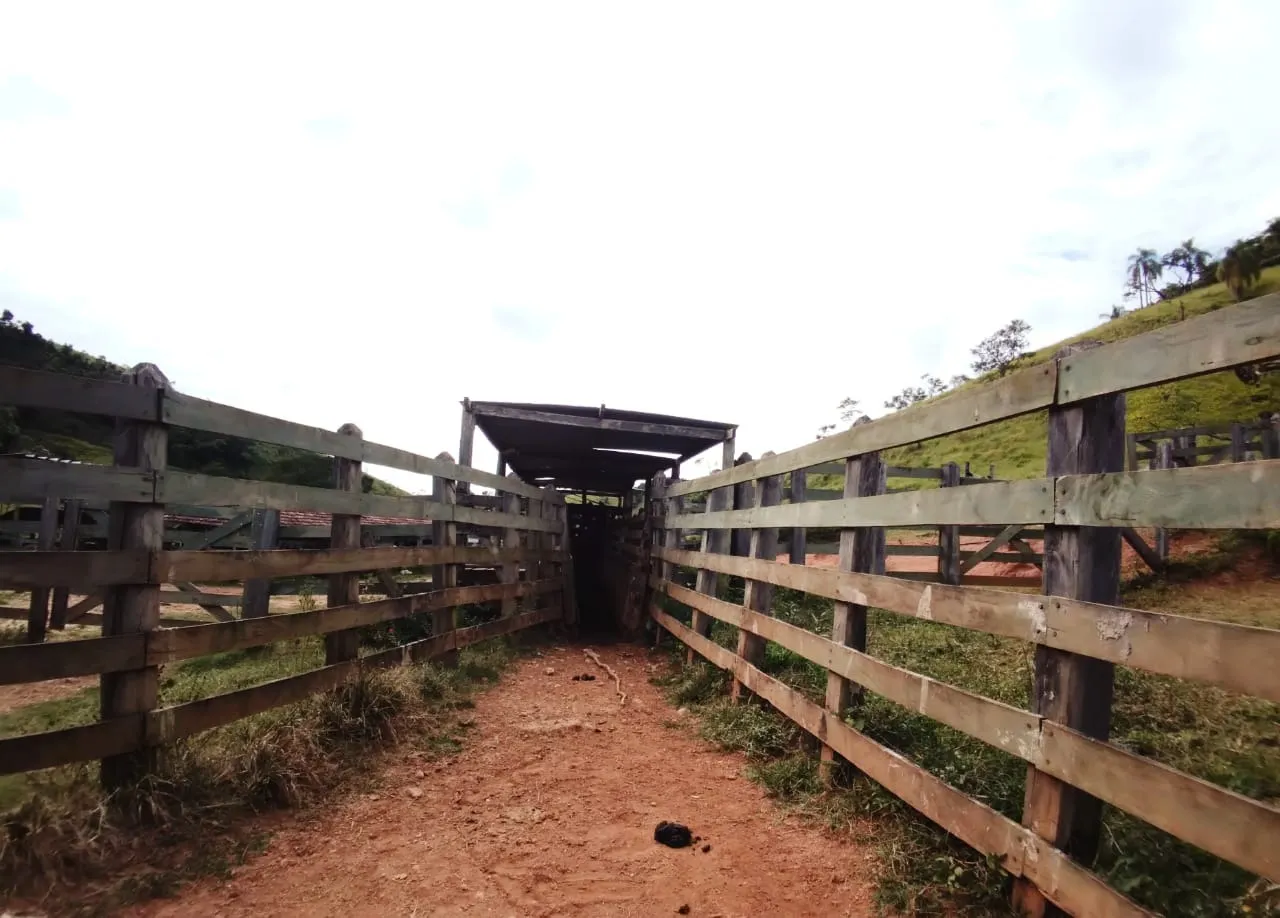 Farm for sale of 1,202 acres in Taubaté, SP, Brazil