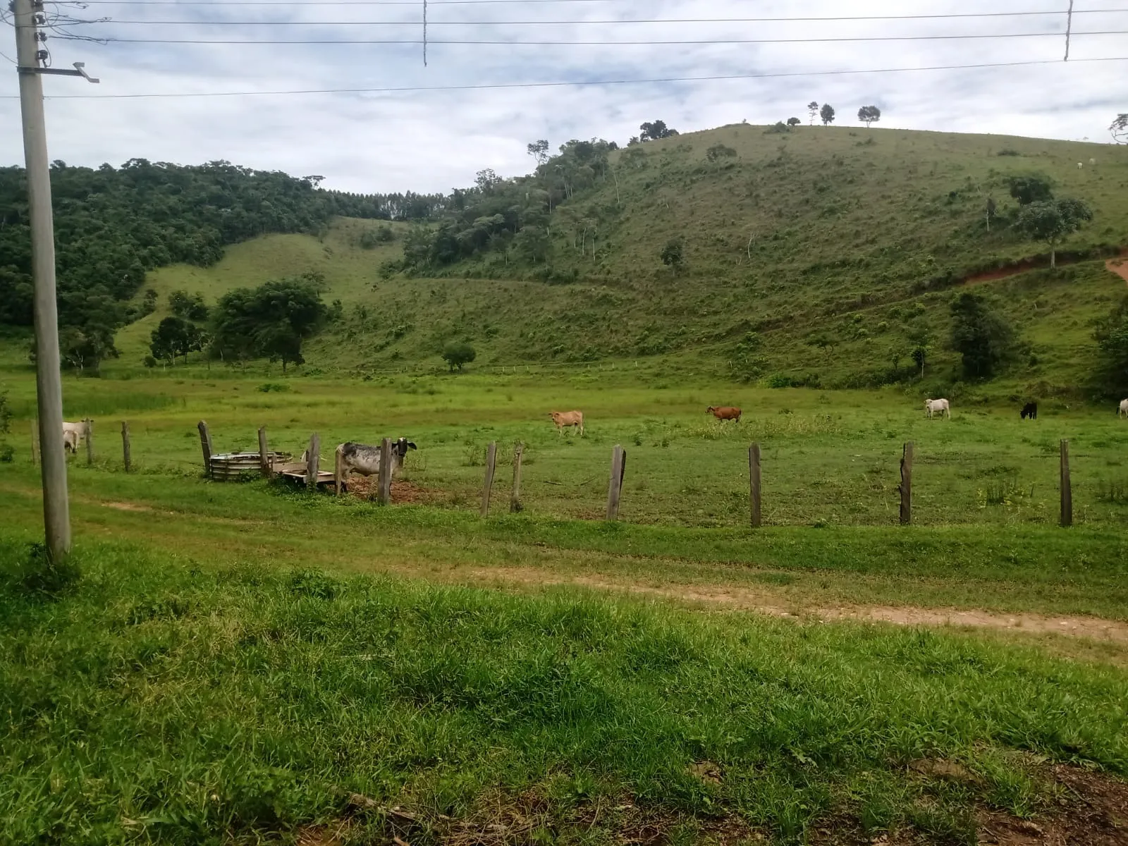Farm for sale of 1,202 acres in Taubaté, SP, Brazil