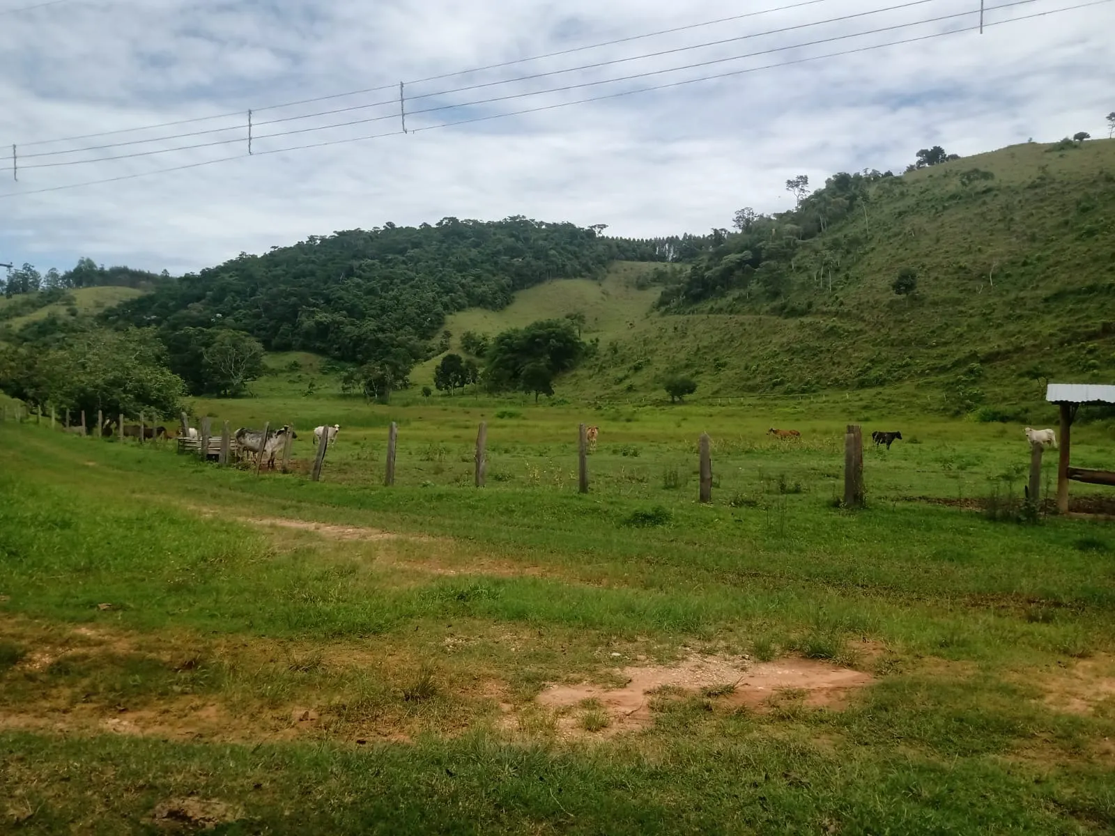 Farm for sale of 1,202 acres in Taubaté, SP, Brazil