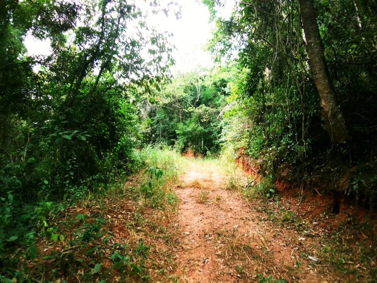 Farm for sale of 1,202 acres in Taubaté, SP, Brazil
