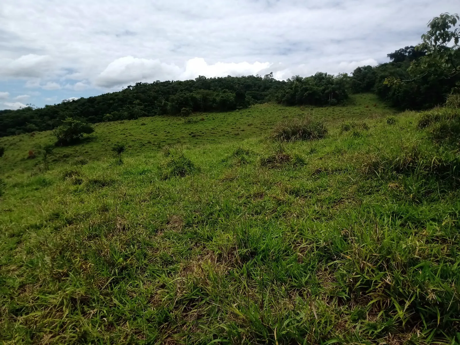 Farm for sale of 1,202 acres in Taubaté, SP, Brazil