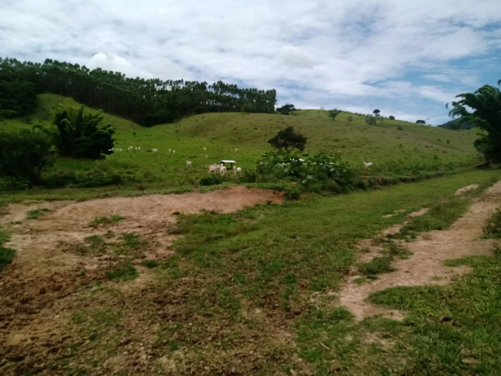 Farm for sale of 1,202 acres in Taubaté, SP, Brazil