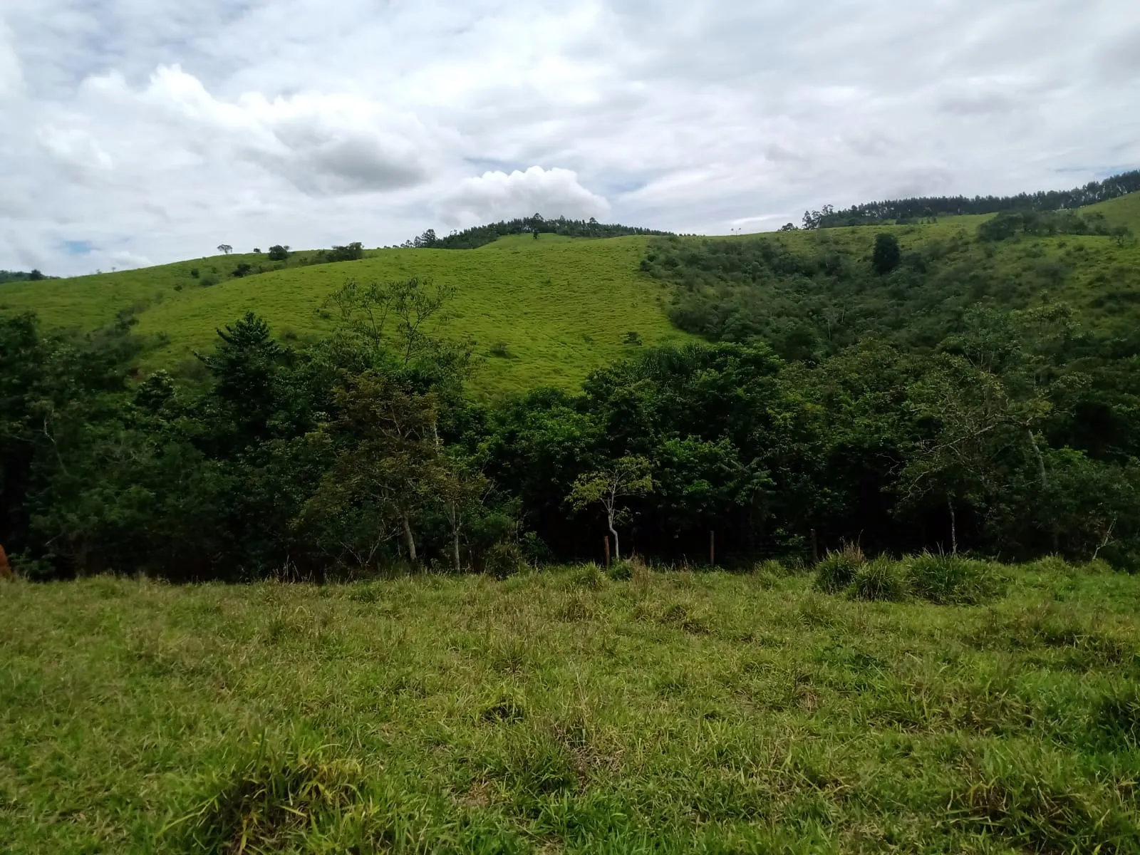 Farm for sale of 1,202 acres in Taubaté, SP, Brazil
