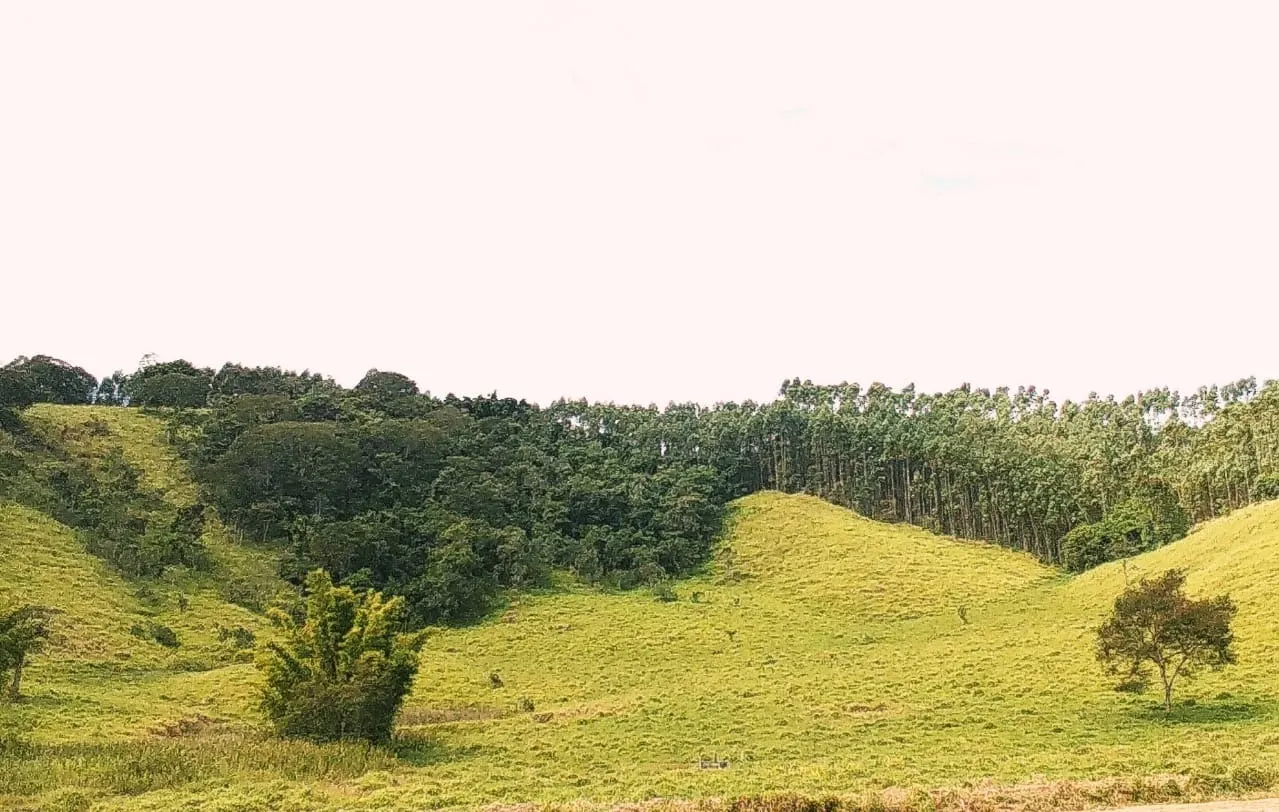 Farm for sale of 1,202 acres in Taubaté, SP, Brazil