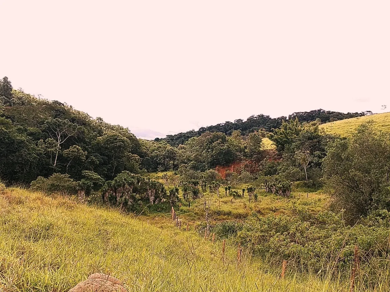 Farm for sale of 1,202 acres in Taubaté, SP, Brazil