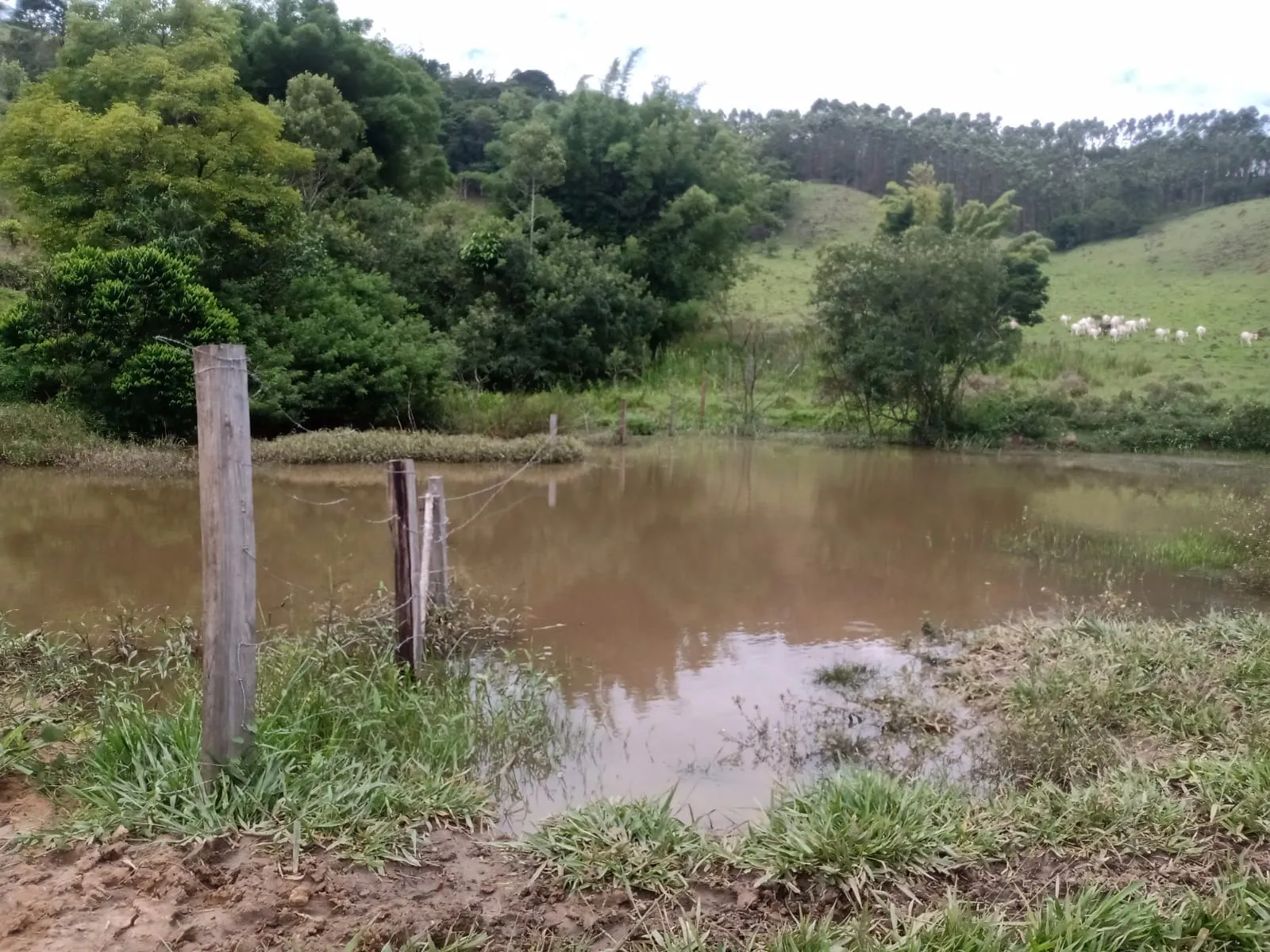 Farm for sale of 1,202 acres in Taubaté, SP, Brazil