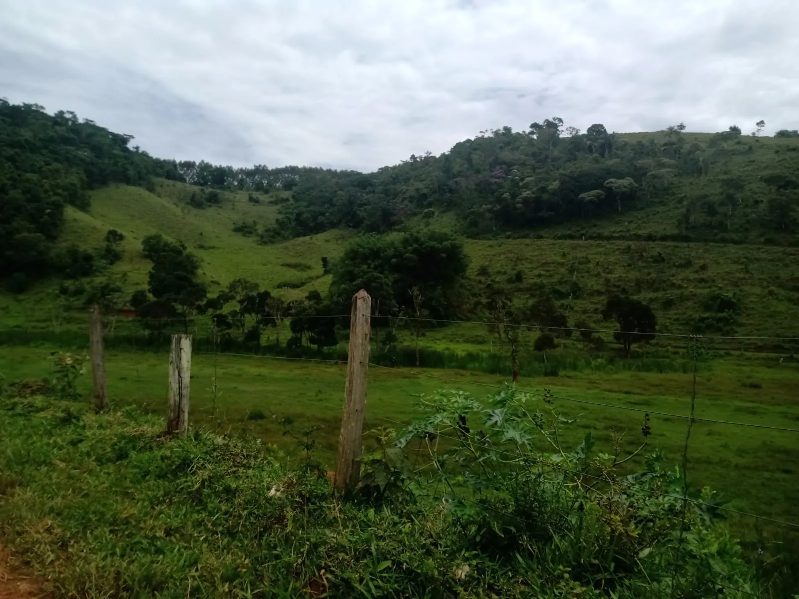 Farm for sale of 1,202 acres in Taubaté, SP, Brazil