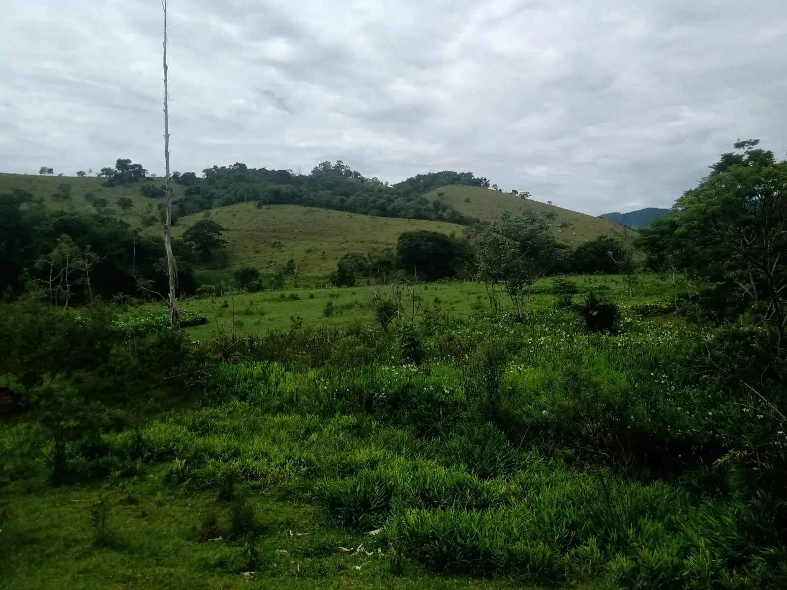 Farm for sale of 1,202 acres in Taubaté, SP, Brazil