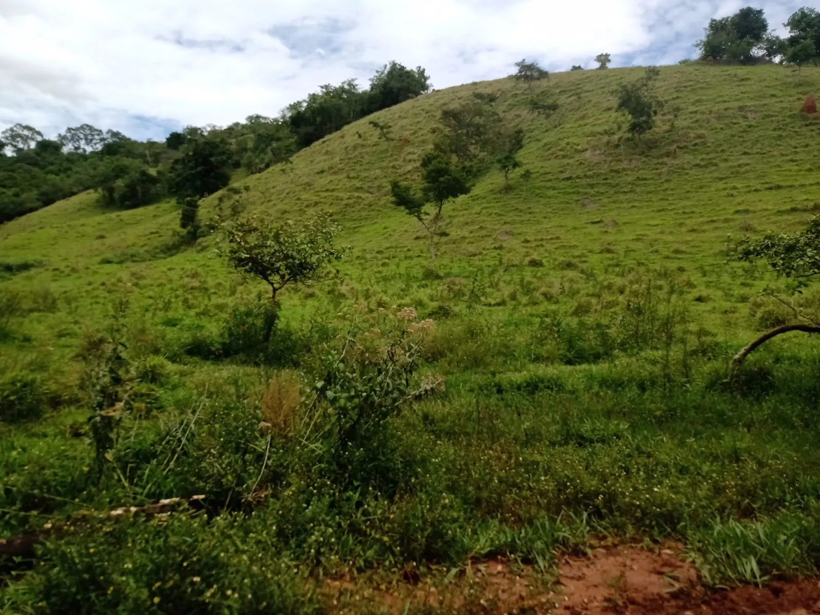 Farm for sale of 1,202 acres in Taubaté, SP, Brazil