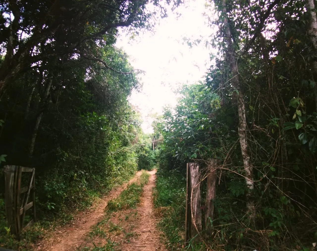 Farm for sale of 1,202 acres in Taubaté, SP, Brazil