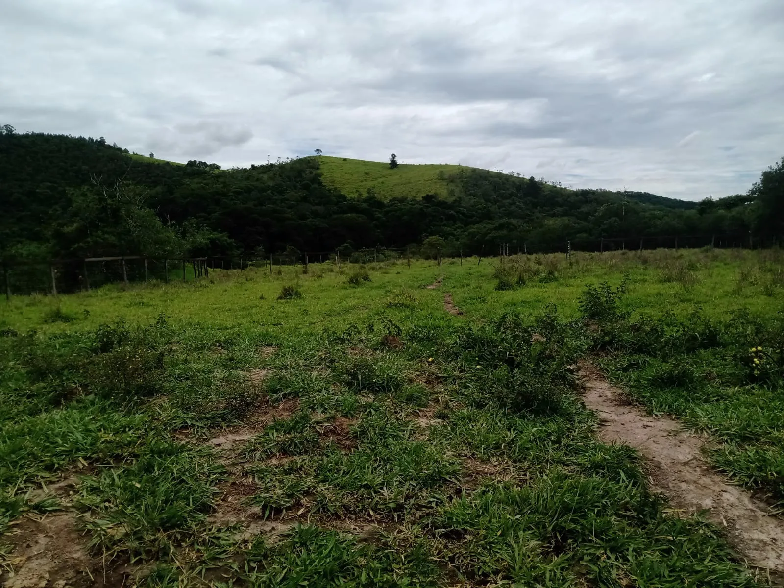 Farm for sale of 1,202 acres in Taubaté, SP, Brazil