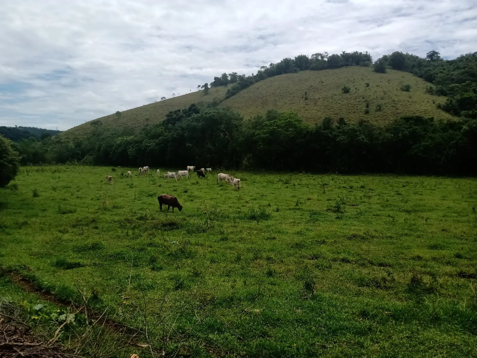 Farm for sale of 1,202 acres in Taubaté, SP, Brazil