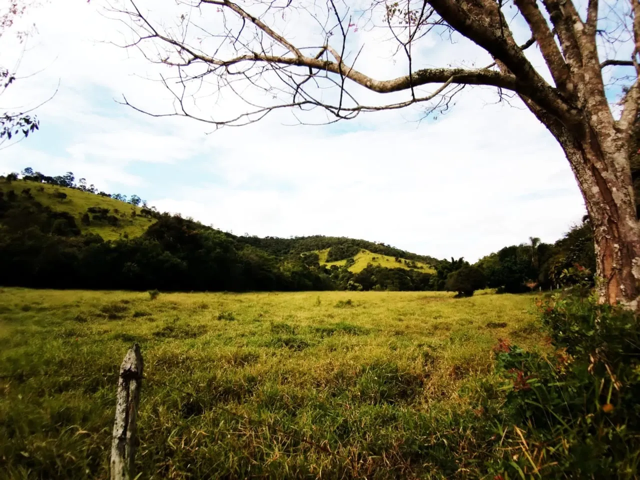 Farm for sale of 1,202 acres in Taubaté, SP, Brazil