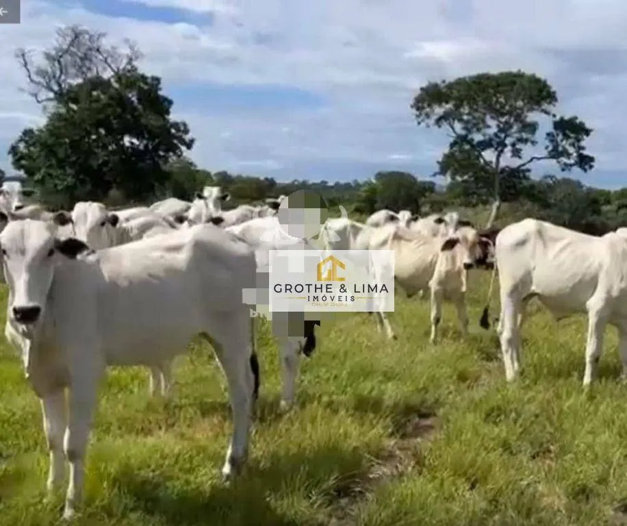 Fazenda à venda de 2.725 ha em Monte Alegre de Goiás, GO, Brasil