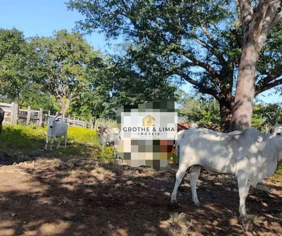 Fazenda à venda de 2.725 ha em Monte Alegre de Goiás, GO, Brasil