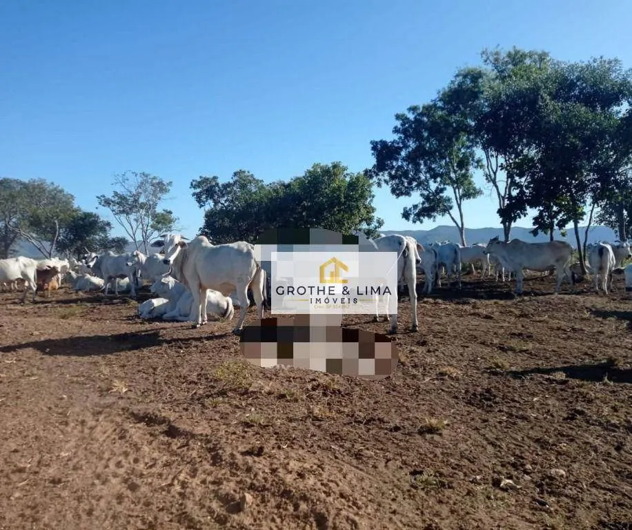 Fazenda à venda de 2.725 ha em Monte Alegre de Goiás, GO, Brasil