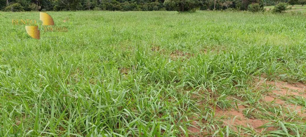 Farm for sale of 2,224 acres in Guiratinga, MT, Brazil