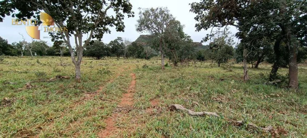 Farm for sale of 2,224 acres in Guiratinga, MT, Brazil