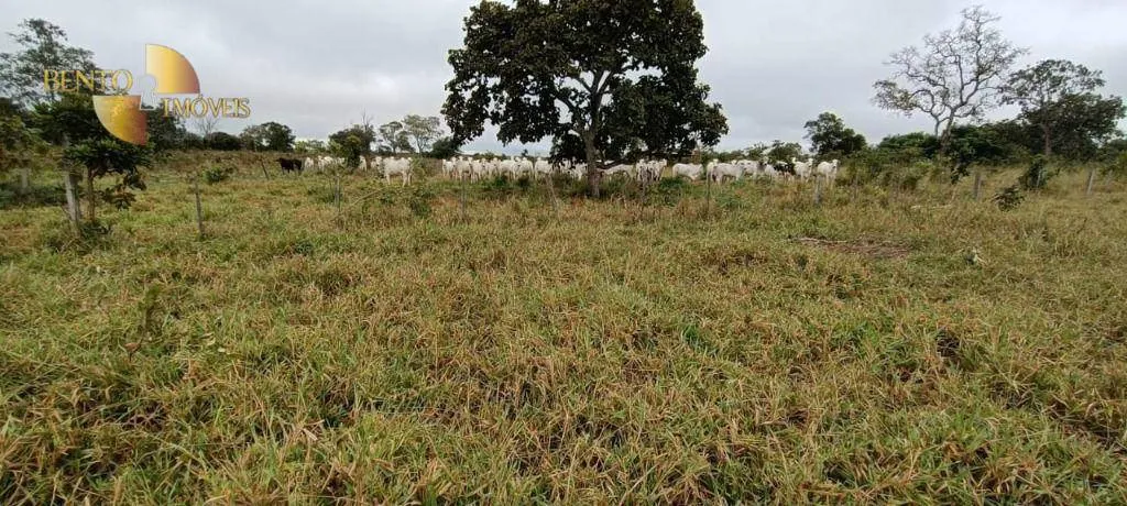 Farm for sale of 2,224 acres in Guiratinga, MT, Brazil
