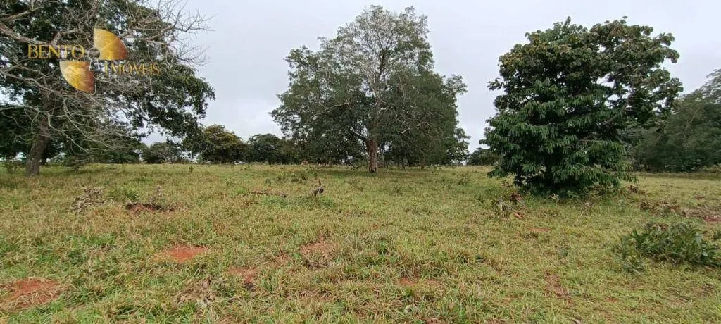 Farm for sale of 2,224 acres in Guiratinga, MT, Brazil