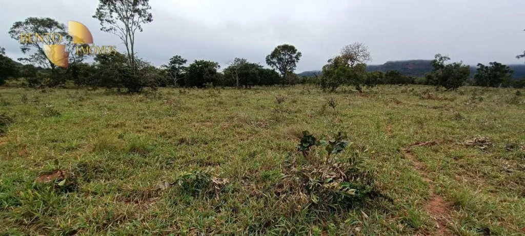Farm for sale of 2,224 acres in Guiratinga, MT, Brazil