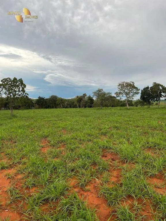 Farm for sale of 2,224 acres in Guiratinga, MT, Brazil