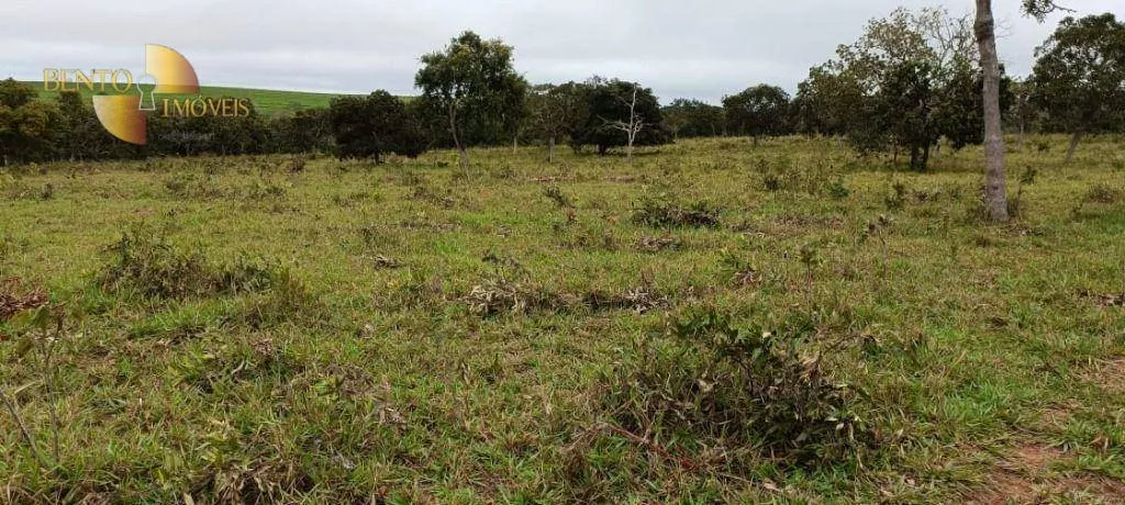 Farm for sale of 2,224 acres in Guiratinga, MT, Brazil