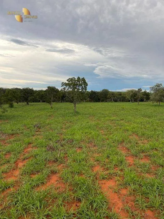 Farm for sale of 2,224 acres in Guiratinga, MT, Brazil