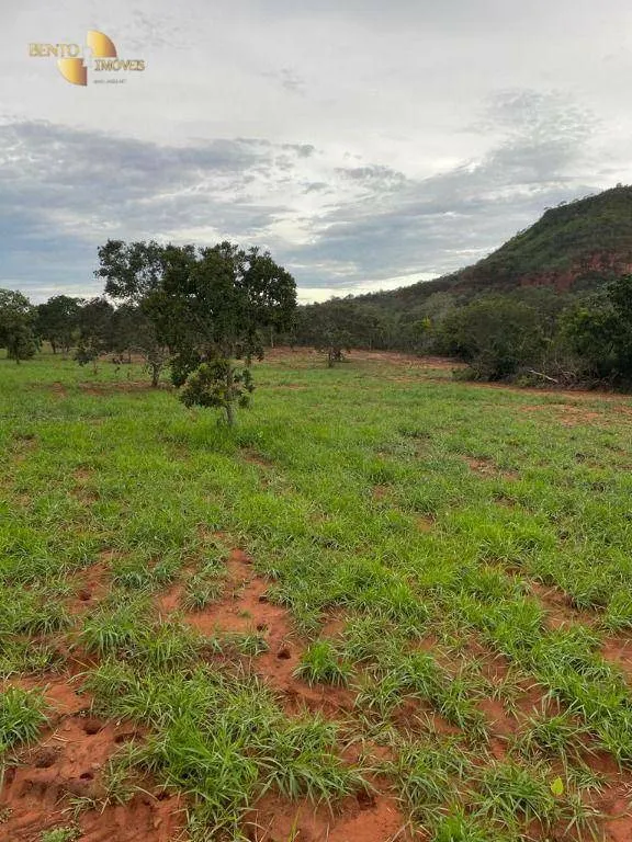 Fazenda à venda de 900 ha em Guiratinga, MT, Brasil