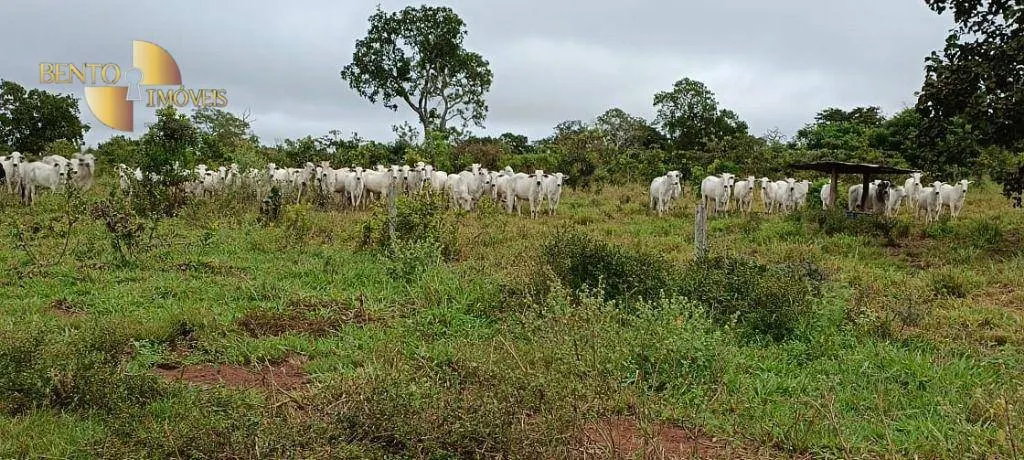 Farm for sale of 2,224 acres in Guiratinga, MT, Brazil