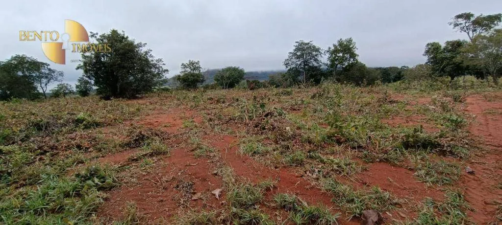 Farm for sale of 2,224 acres in Guiratinga, MT, Brazil