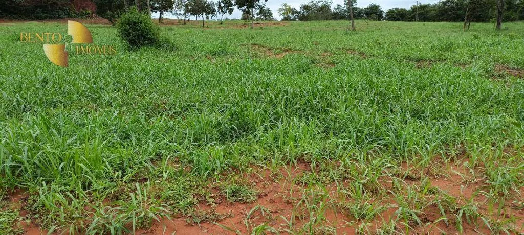 Farm for sale of 2,224 acres in Guiratinga, MT, Brazil