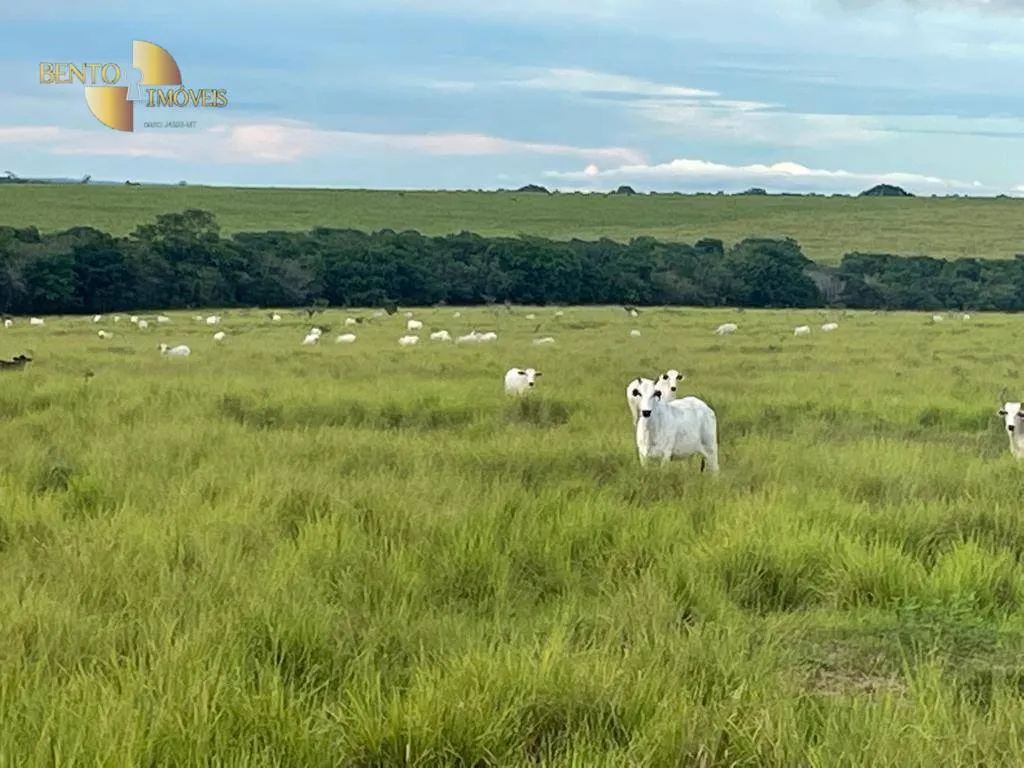 Fazenda à venda de 2.200 ha em Jangada, MT, Brasil
