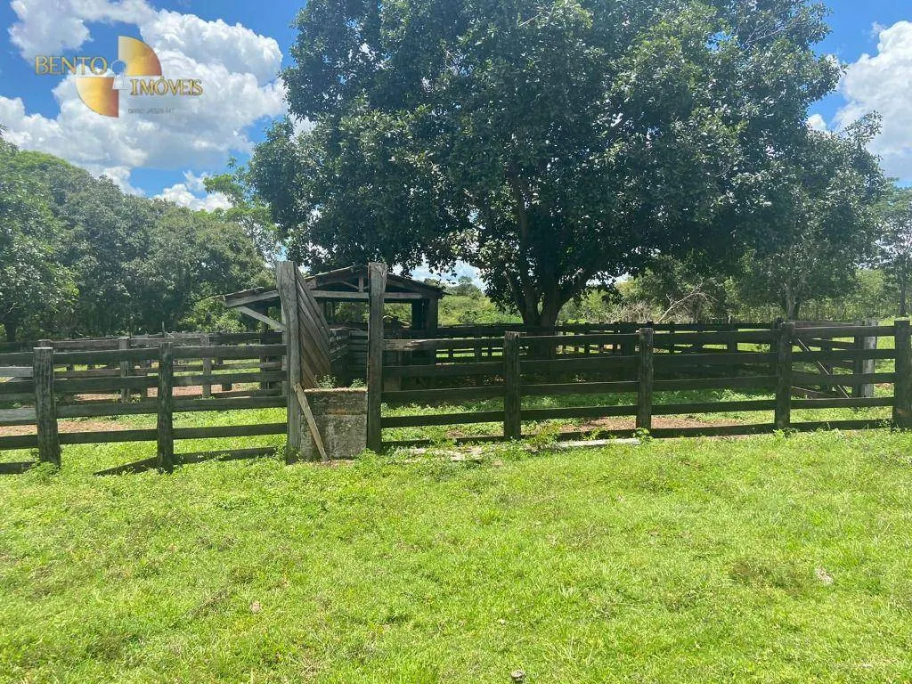 Fazenda à venda de 2.200 ha em Jangada, MT, Brasil