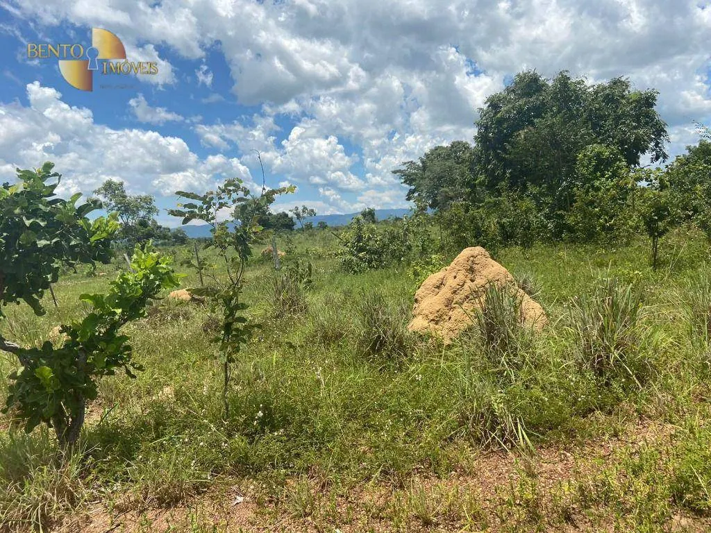 Fazenda à venda de 2.200 ha em Jangada, MT, Brasil