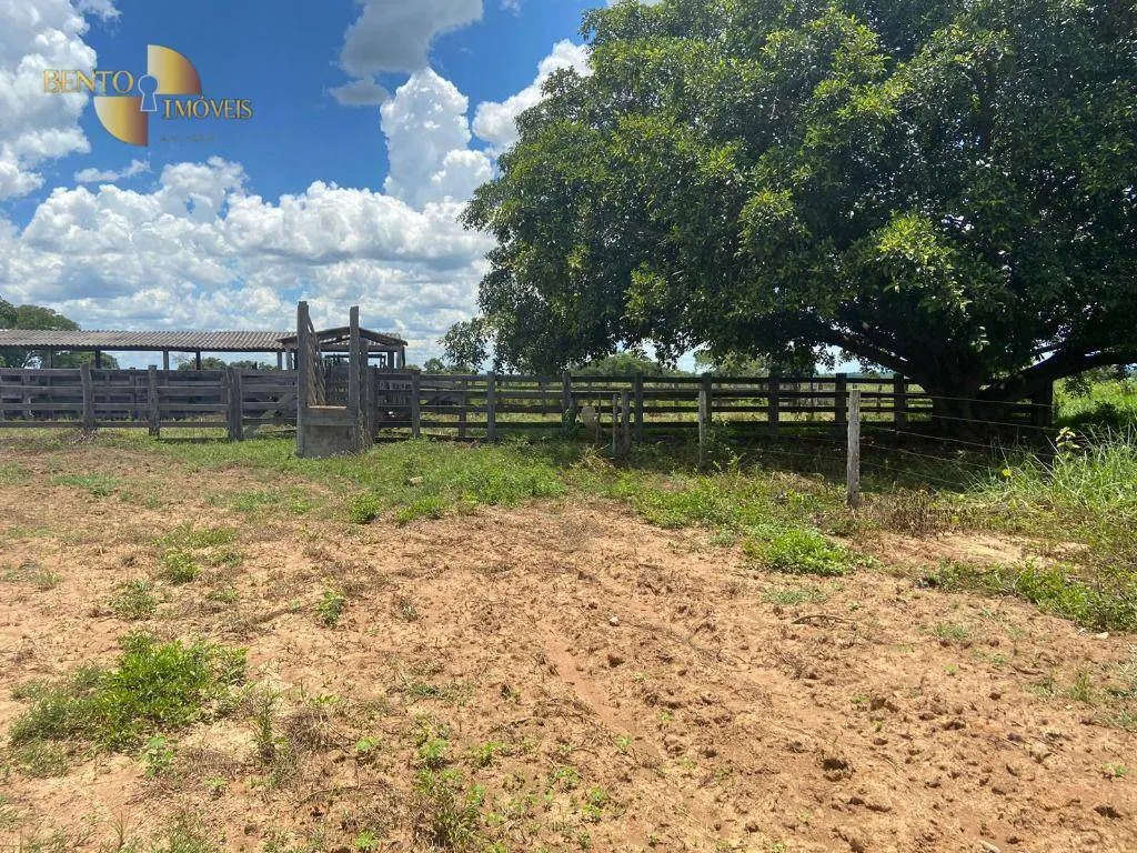Fazenda à venda de 2.200 ha em Jangada, MT, Brasil