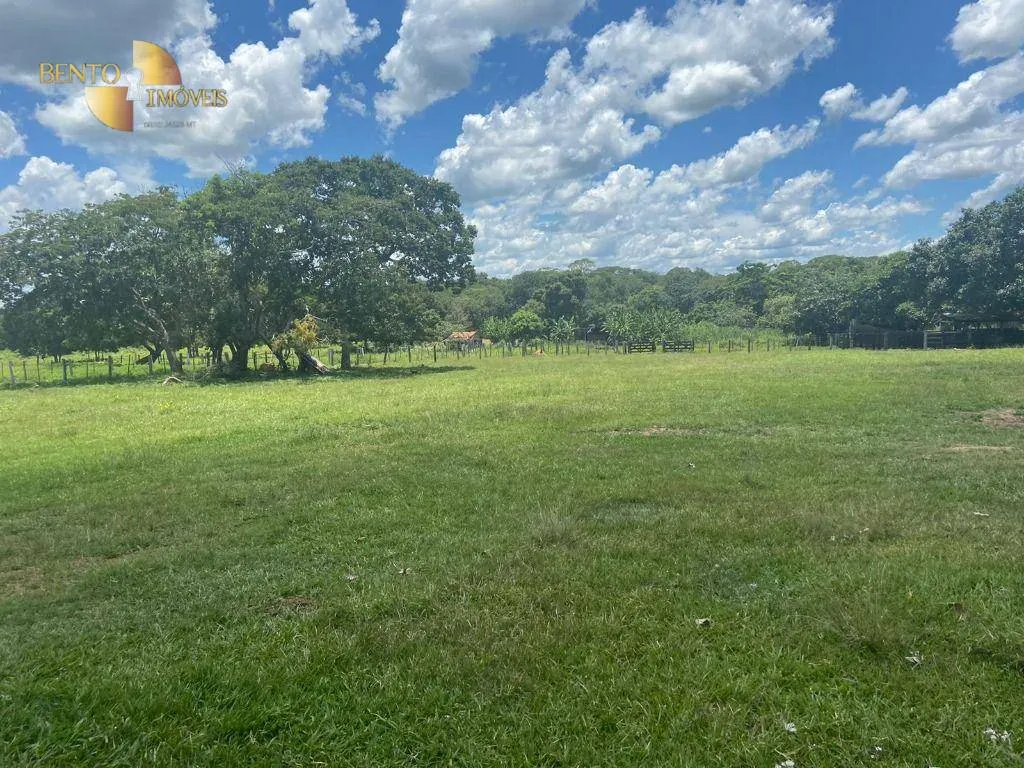 Fazenda à venda de 2.200 ha em Jangada, MT, Brasil