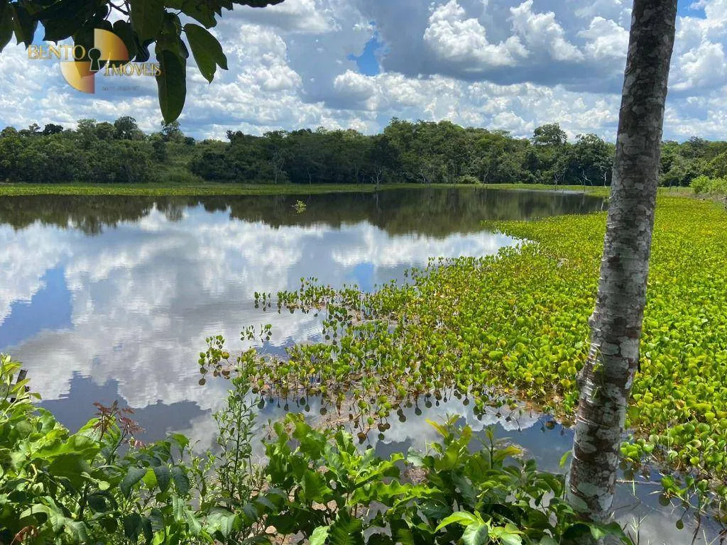 Fazenda à venda de 2.200 ha em Jangada, MT, Brasil
