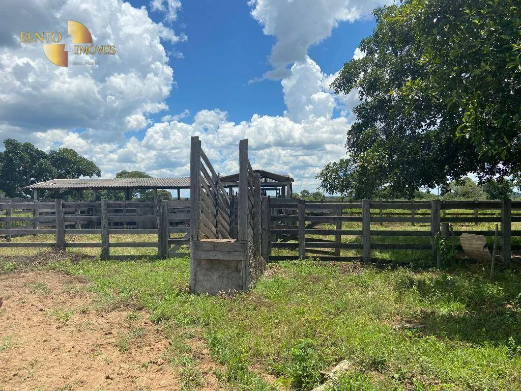 Fazenda à venda de 2.200 ha em Jangada, MT, Brasil